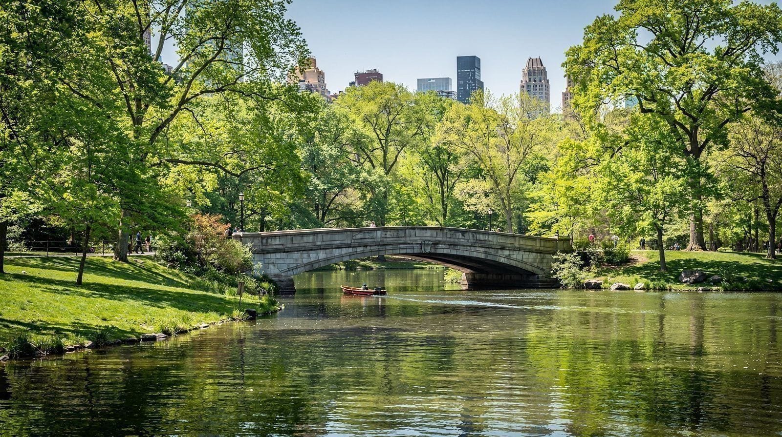 Central Park Is Not Nature, It's a 19th-Century Design