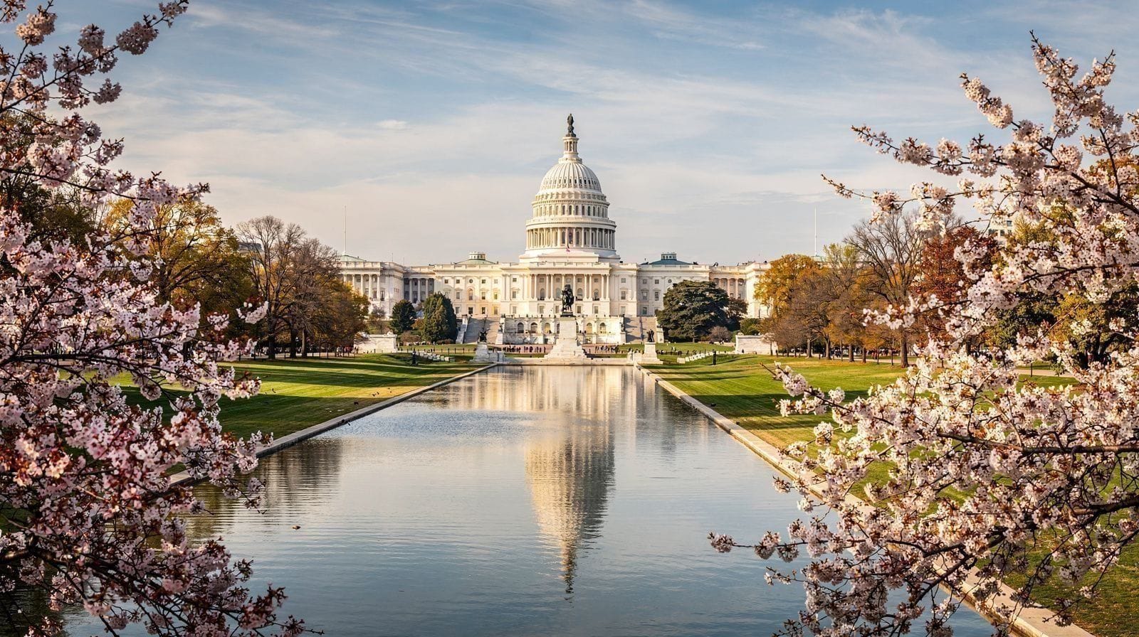 Washington DC in a Day by Acela: What the Train Actually Buys You
