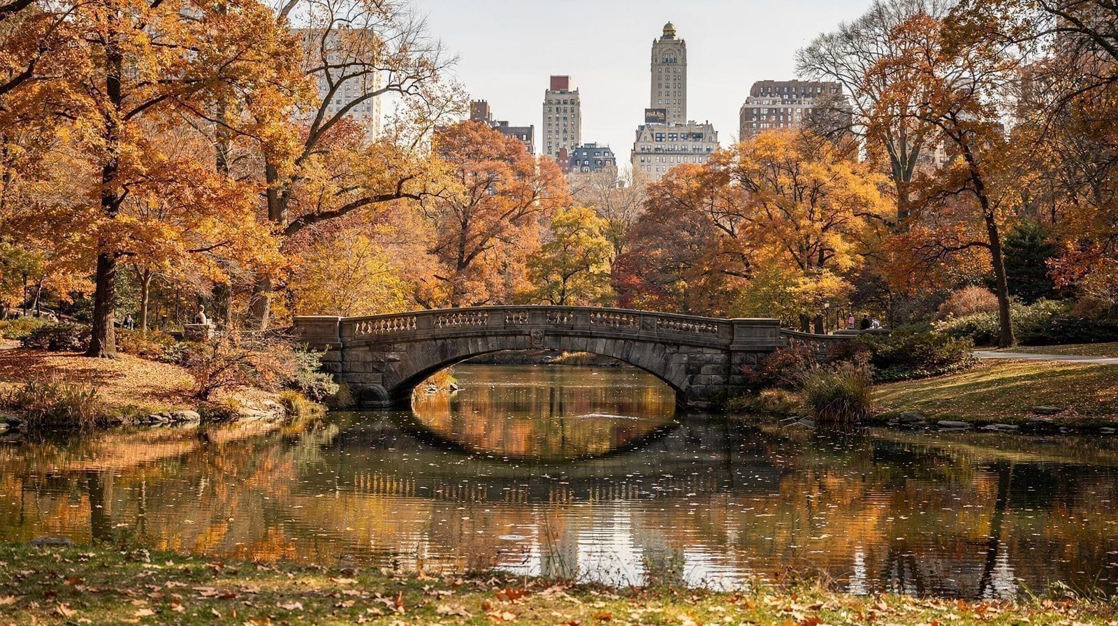 Central Park