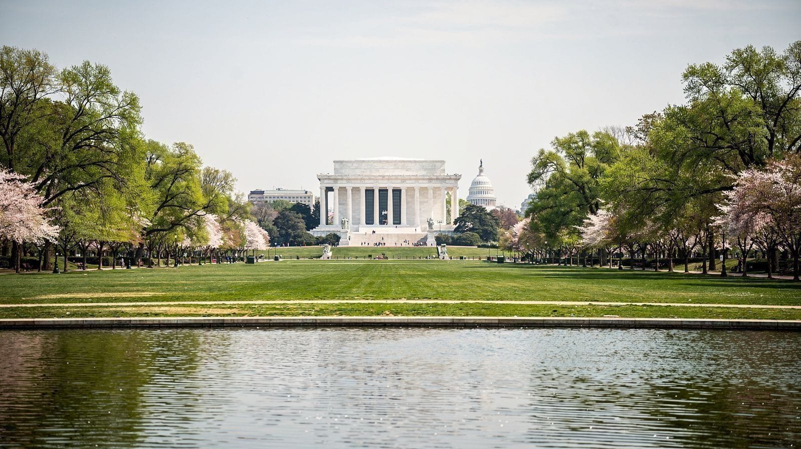 Washington DC from New York: Is a Day Trip Actually Worth It?