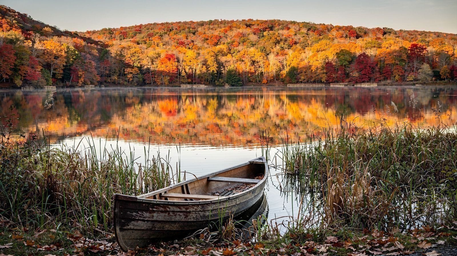 Best Fall Foliage Day Trips from NYC