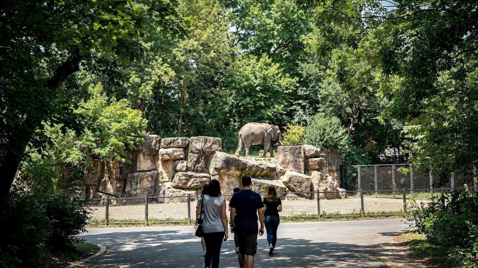 Bronx Zoo and Yankee Stadium: A One-Day Outer-Borough Combination