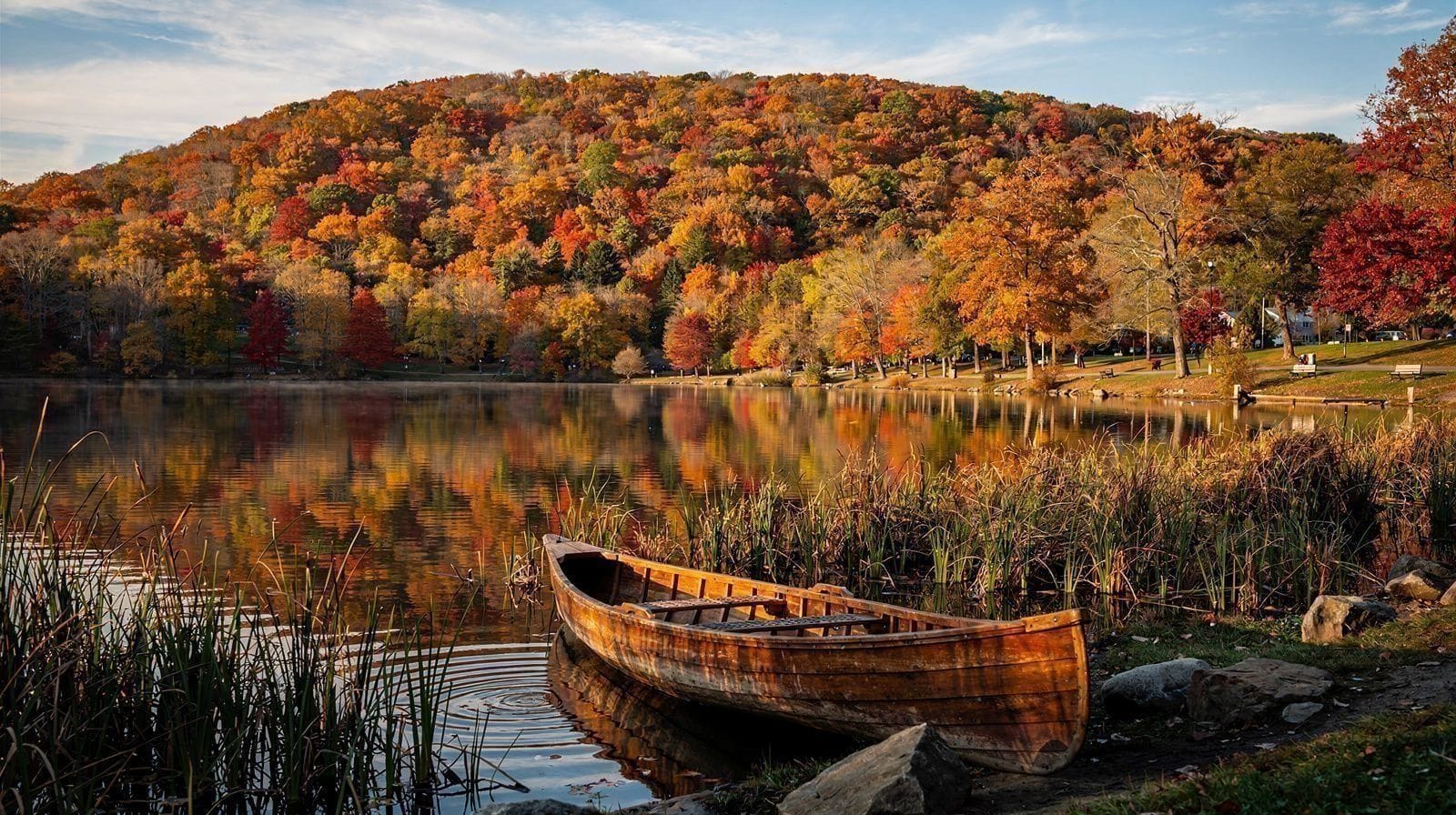 Fall Foliage from NYC: Rental Car or Train?