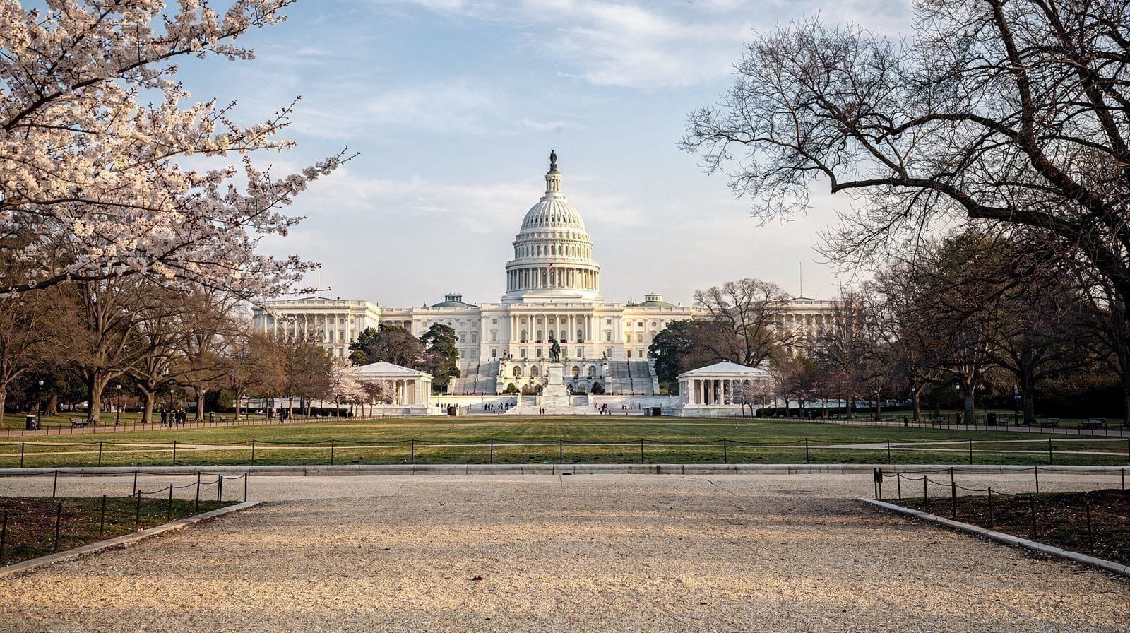 Washington DC Day Trip by Train: Is It Worth It From New York?