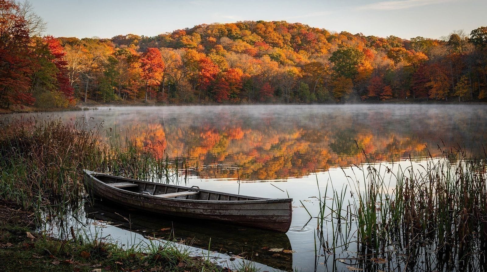 Four Days in New York in Autumn: Central Park, Museum Mile and the High Line