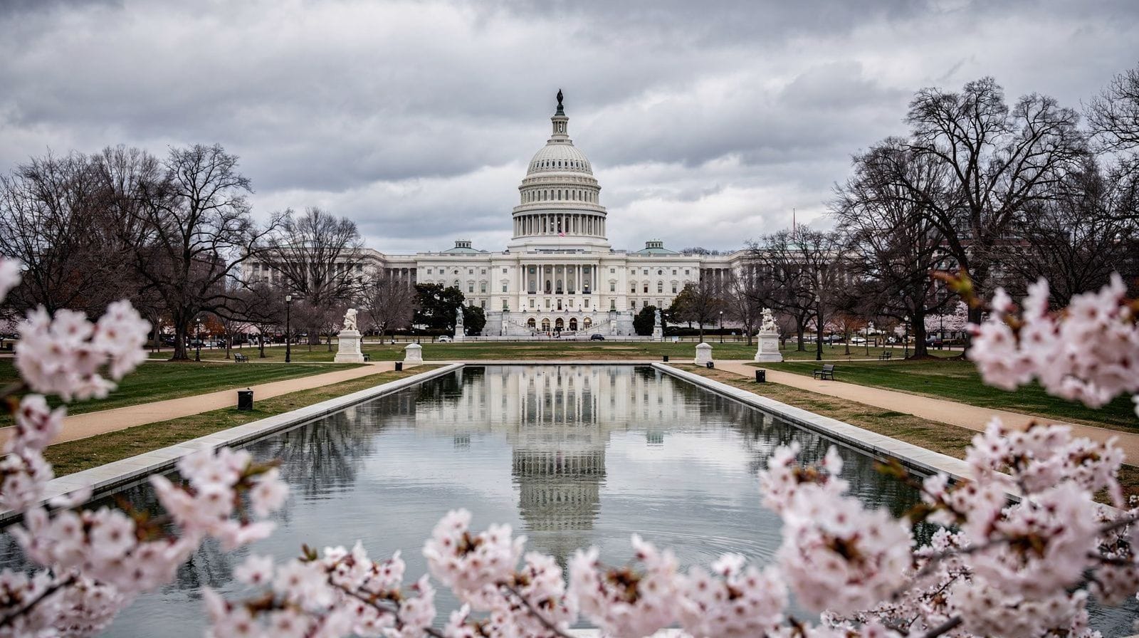 4 Days: New York and Washington DC by Train